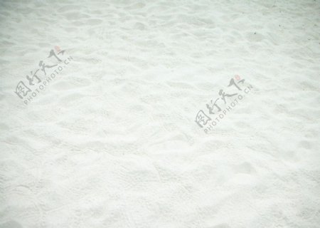 细白的珊瑚沙图片
