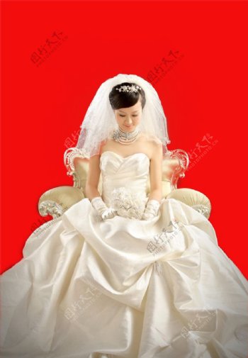 美丽新娘PSD分层素材图片