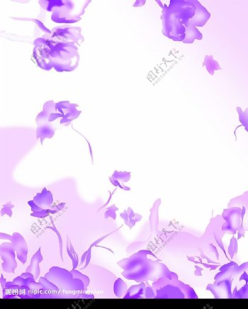 紫色幻想图片