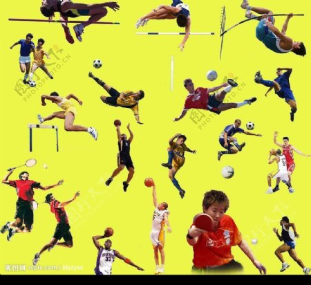 体育运动分层图片