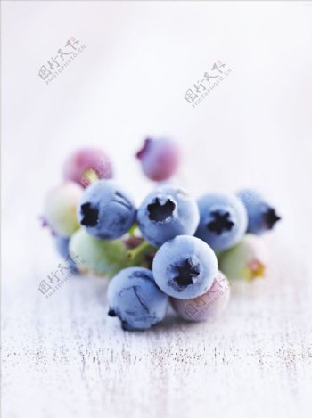 清新蓝莓图片
