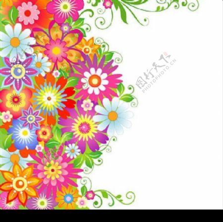 色彩缤纷的花卉花纹矢量素材图片