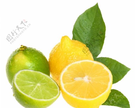柠檬绿叶图片