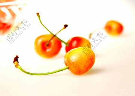 水果樱桃高清摄影写真图片