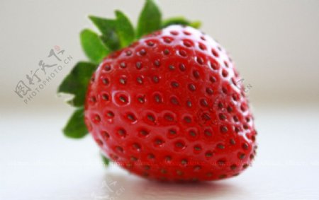 美味鲜红草莓图片