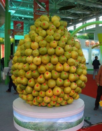 柚子球图片