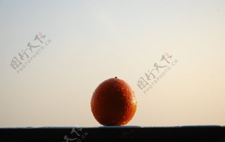 ORANGE橙子图片