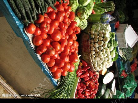 西红柿蔬菜摊图片