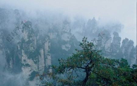张家界峰林风景图片