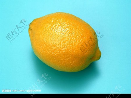 黄橙子图片