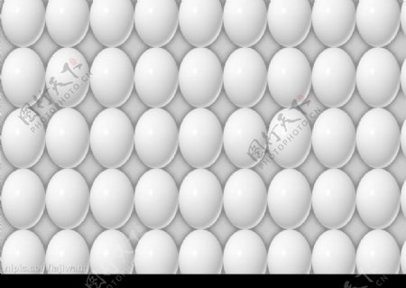 鸡蛋底纹图片