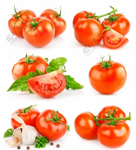 西红柿大蒜图片