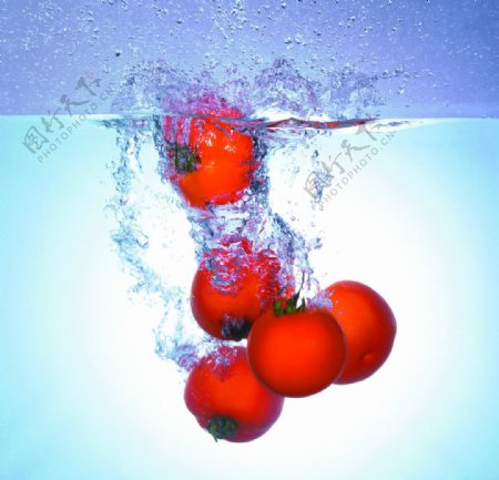 水中的西红柿图片