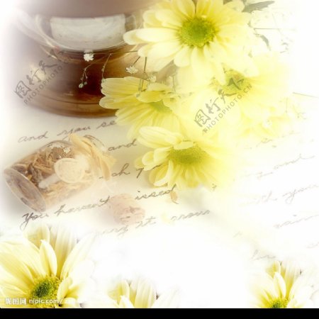 菊花瓶子图片