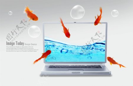 鱼游电脑间图片