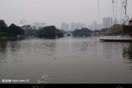 深圳荔枝公园图片