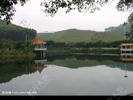 雁湖图片