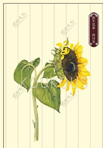 向日葵花卉素材图片
