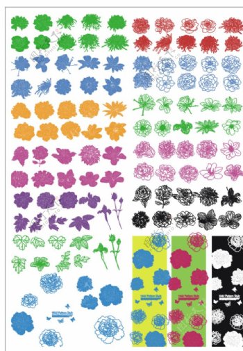 矢量花纹花卉线描图片