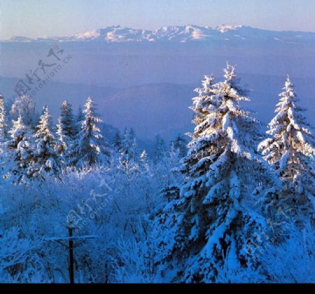 长白山雪景图片