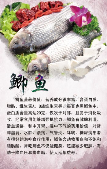 鲫鱼图片