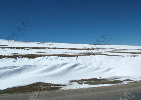 雪域高原图片