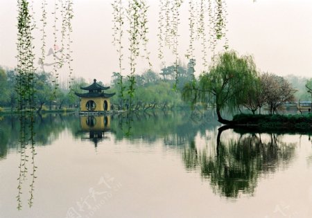 扬州瘦西湖春色图片