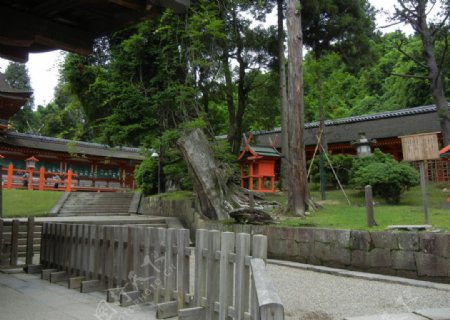日本奈良图片