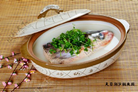 常州餐饮美食天目湖沙锅鱼头图片