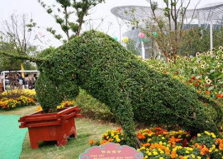 植物造型图片