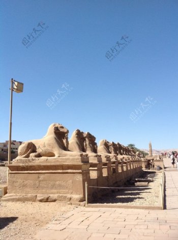 卡尔纳克神庙之狮子人图片