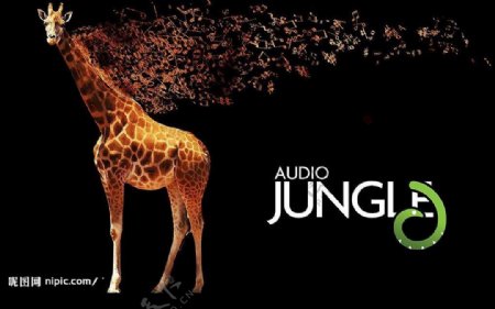 AudioJungle音乐与自然图片
