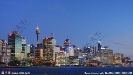澳大利亚悉尼港商业区夜景图片