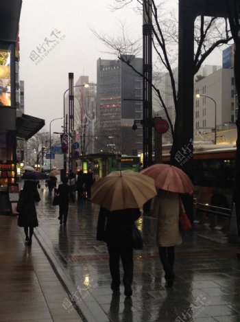 东京雨景图片