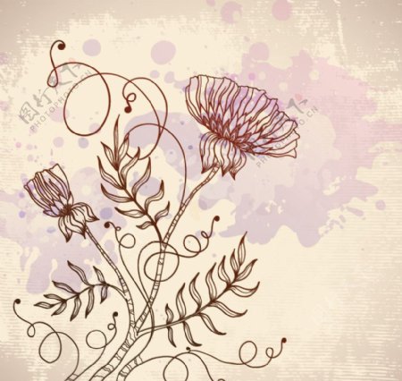 欧式花纹古典花纹花朵图片