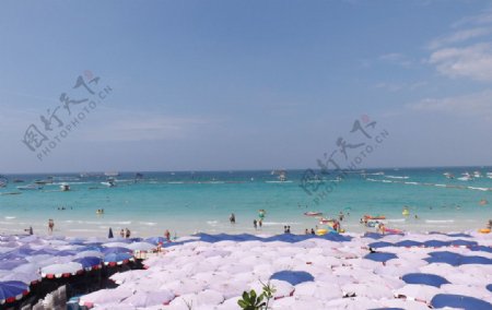 芭提雅珊瑚岛海滩图片