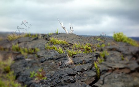 夏威夷火山图片