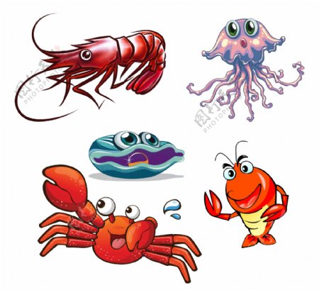 卡通海鲜虾图片