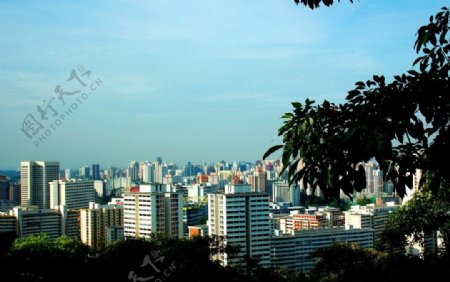 新加坡住宅区俯瞰图片