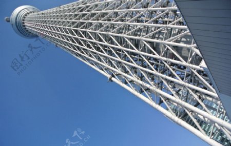 東京天空樹图片