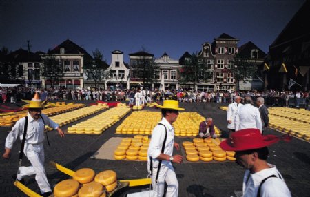 阿克马奶酪市场图片