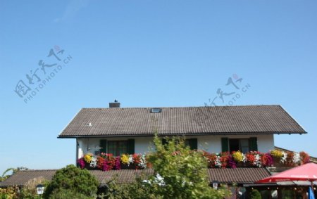 法国花团锦簇的农间小屋图片