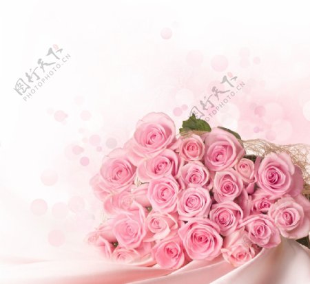 粉嫩玫瑰花束图片