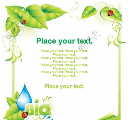 绿叶瓢虫水滴花边背景矢量素材图片