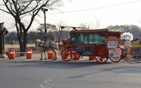 韩国庆州旅游马车图片