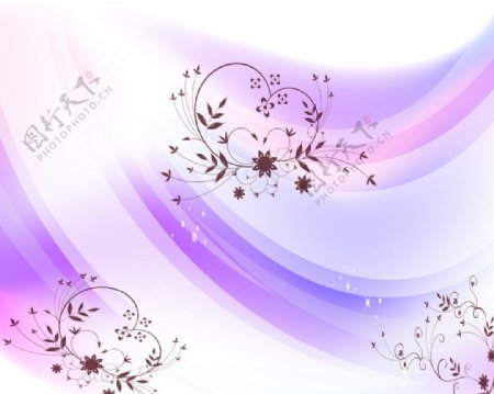 紫线花纹图片