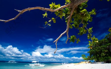 菲律宾薄荷岛保和岛度假旅游风景图片