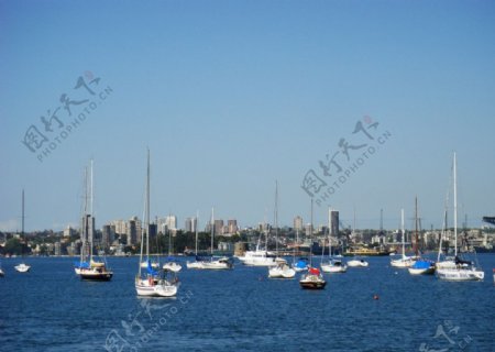 悉尼海湾图片