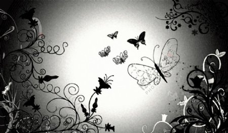 卡通蝴蝶背景海报图片