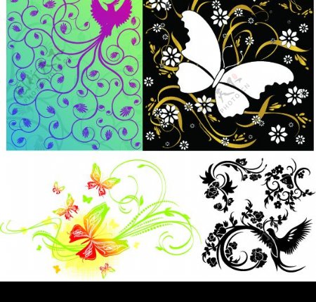 4款鸟或蝴蝶的花纹组合矢量素材图片